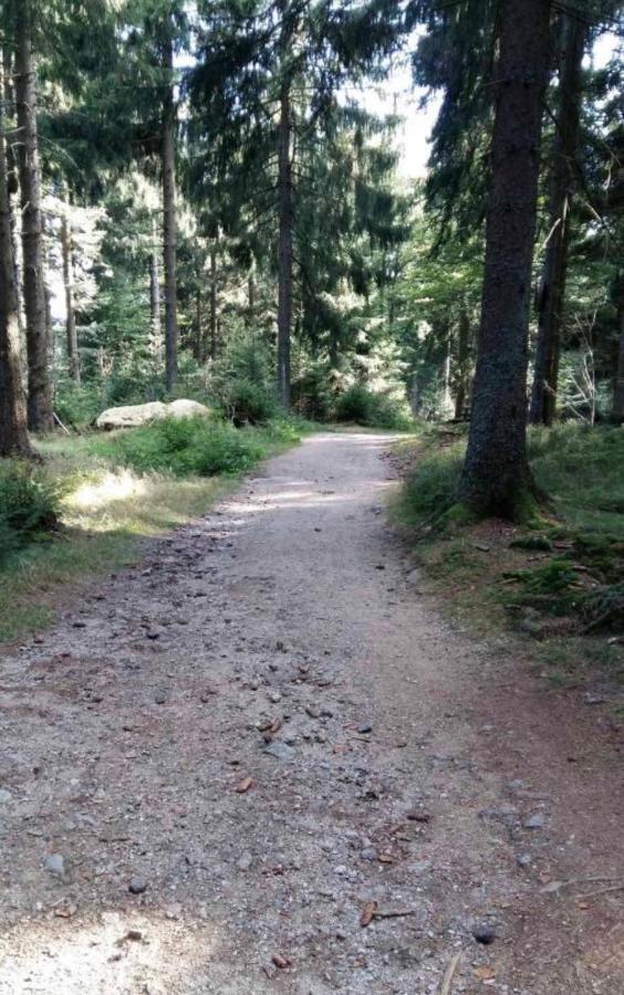 Bergerlebnis Natur Pur Sankt Englmar Extérieur photo